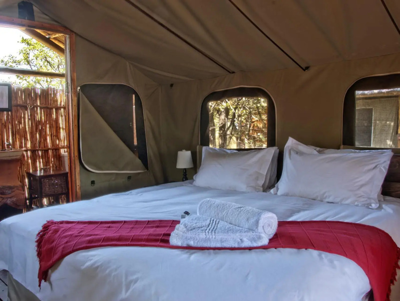 Shindzela Tented Safari Camp