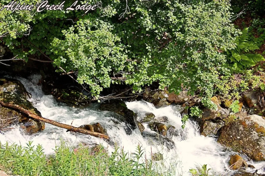 Alpine Creek Lodge