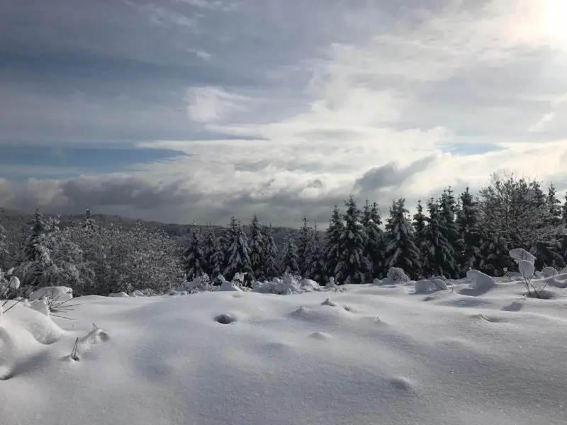 Guest House Lagotto's Peak