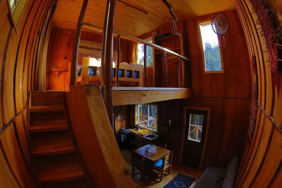 Cabanas Ensenada Bosque Nativo