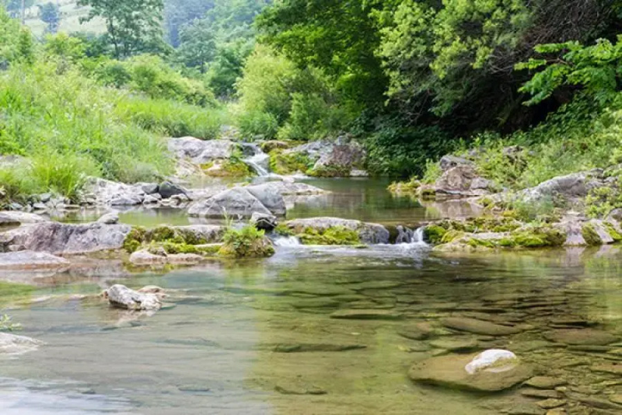 Jeongseon Firefly Red Clay pension