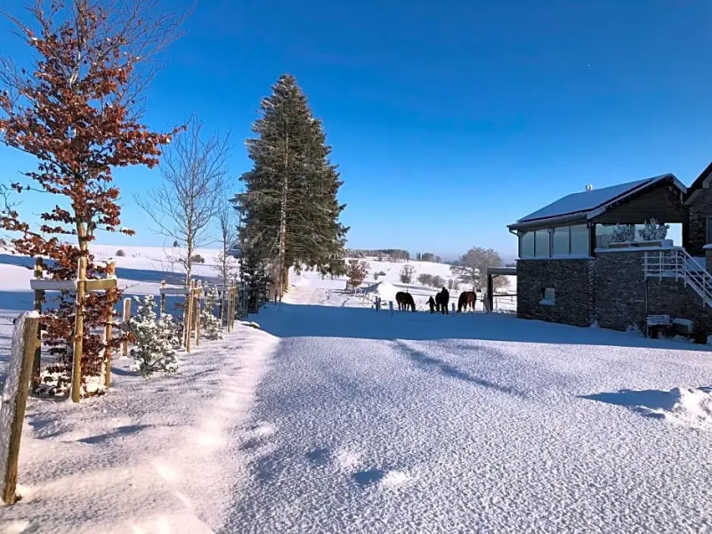 Pegasus II - Chambre B&B de luxe avec sauna privatif