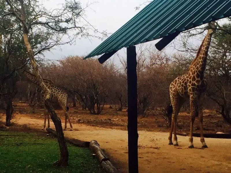 Blyde River Cabin Guesthouse