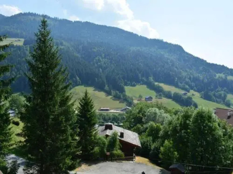 Appartement Le Grand-Bornand, 3 pièces, 7 personnes - FR-1-241-50