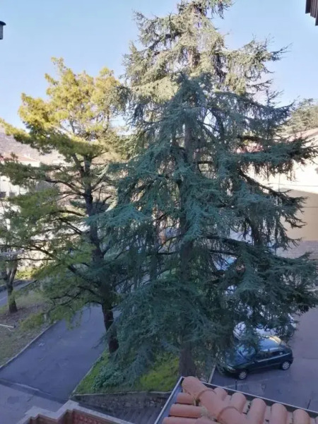 Palazzo Giordano Casa Vacanze