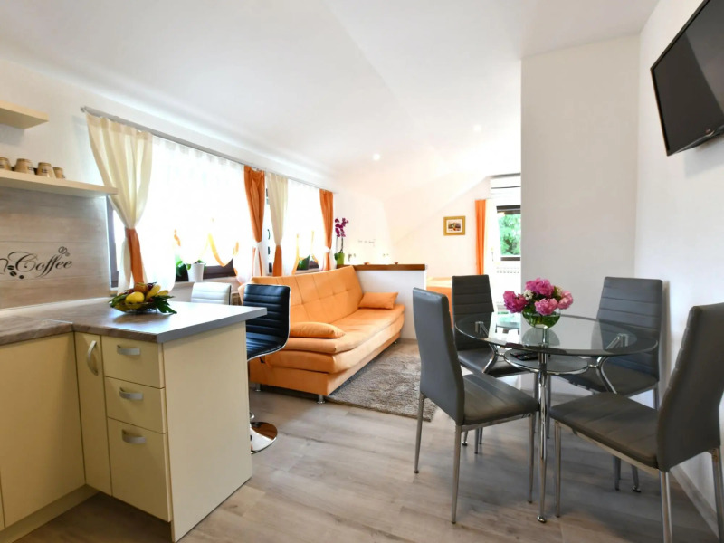 Boutique Apartment in Selište Drežnićko with Garden