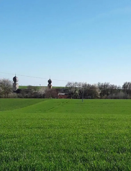 Ferienwohnung - Zimmervermietung Ringelmann
