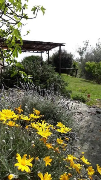 Agrituristica Colleverde