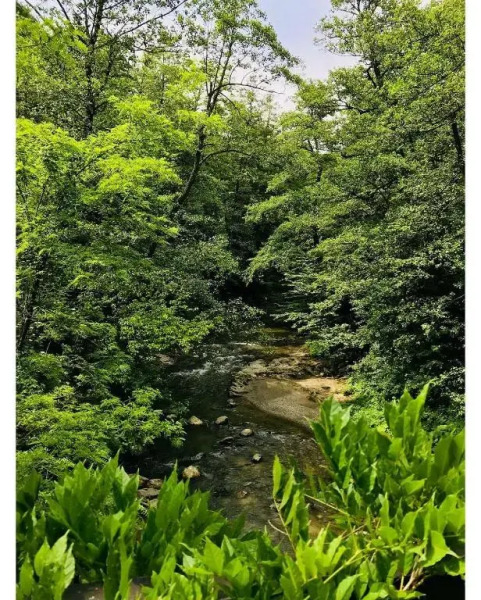 Pension Casa Vanatorilor