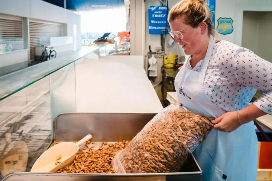 SEAVIEW - VERY SPACIOUS AND UNIQUE APARTMENT 12p - OOSTENDE - Type Munchen - 4 bedrooms - JACUZZI - magnificent seaview from this apartment from the 2nd floor, situated at the beachfront