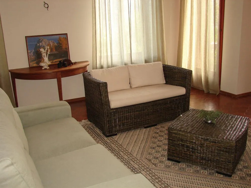 L'Albero del Cioccolato