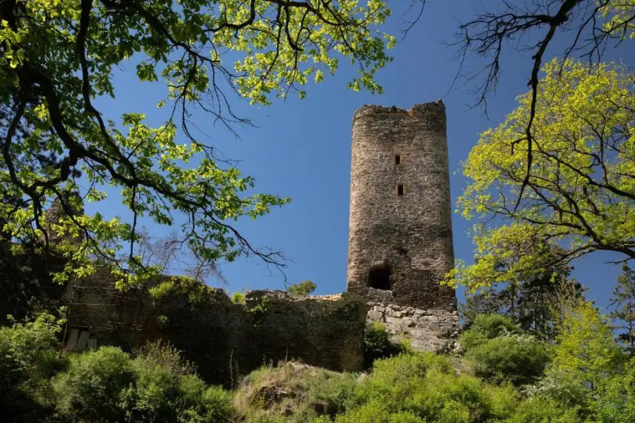 Darovanský Dvůr - Wellness & Golf Hotel