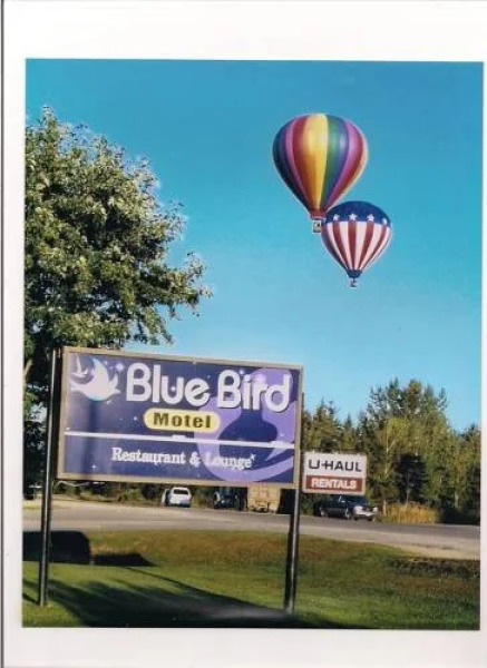 Bluebird Motel And Restaurant-sussex