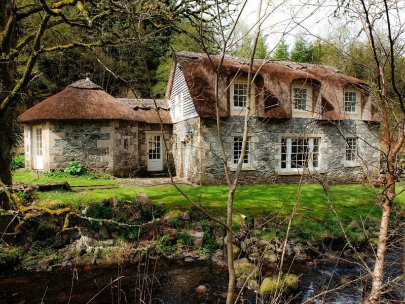 Forget Me Not - SKKZ