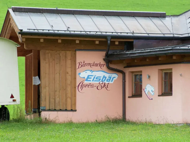 Cozy Apartment in Niedernsill near Skiing