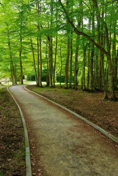 Apartamentos Casa Español