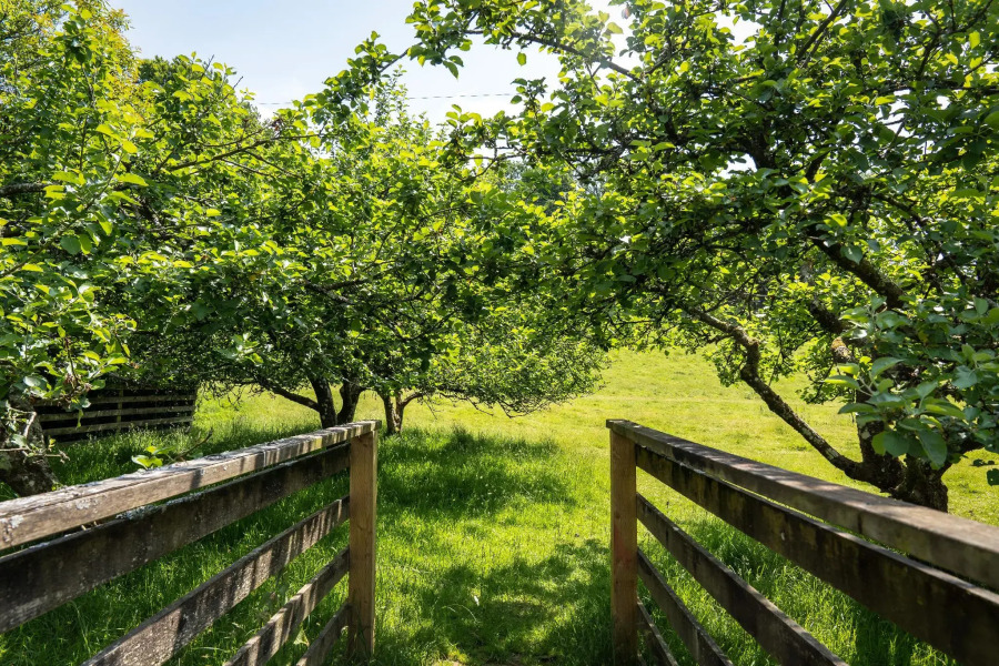 Enchanted Retreats at West Ford Devon