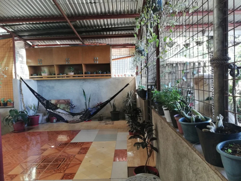 Tribuhaus Backpackers Inn