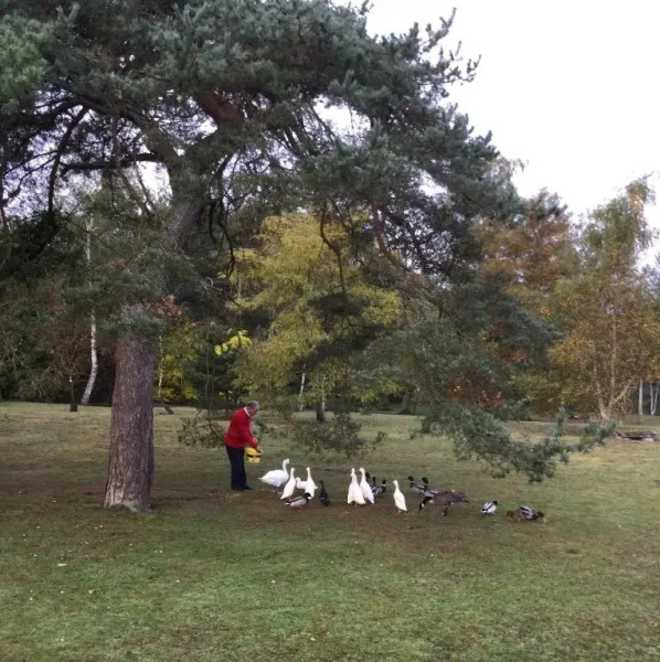Résidence Clairbois, Chambres dHôtes