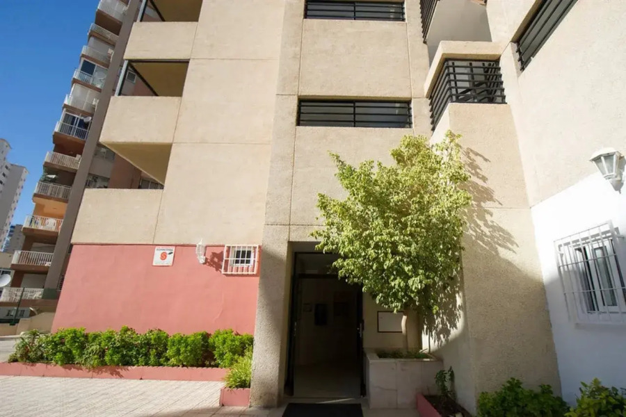 Dynastic Rooms Apartments