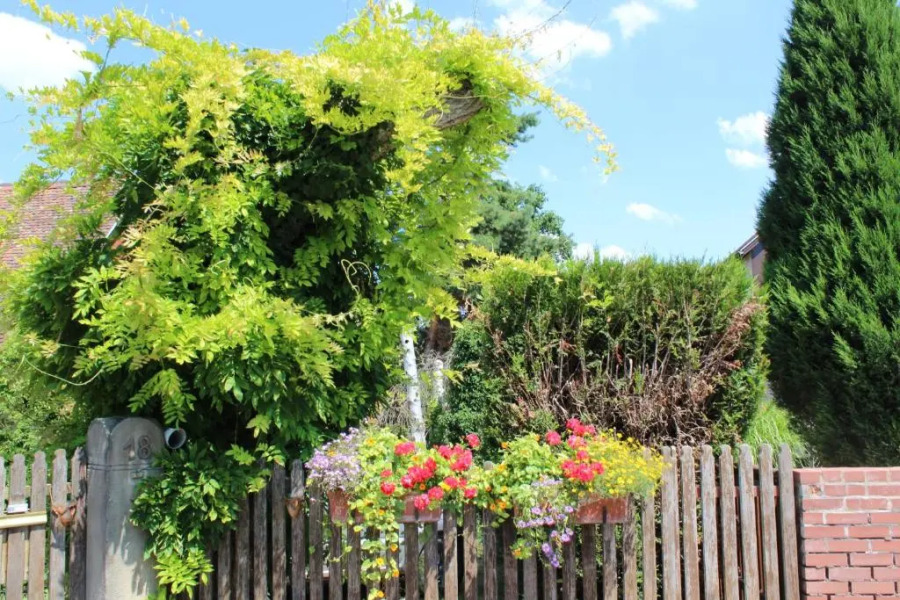 La Tête dans les Etoiles