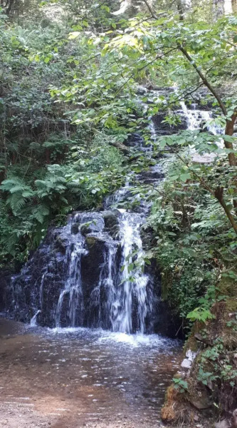 Hébergements Insolites en cabanes