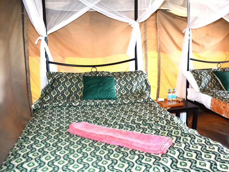 Serengeti Wildebeest Camp