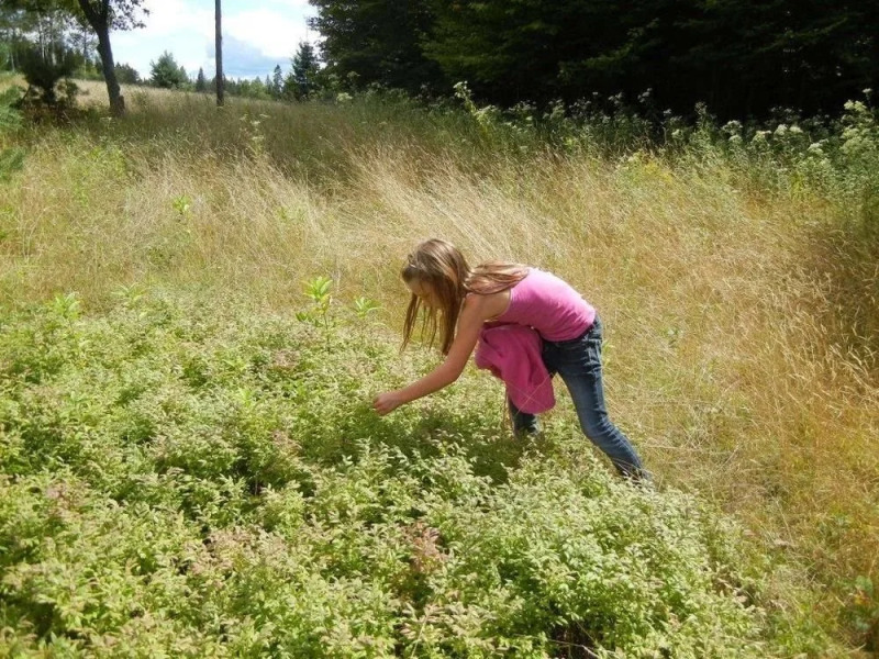 Bondi Village Resort