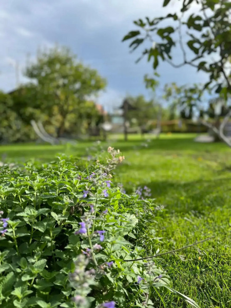 Verandás Vendégház