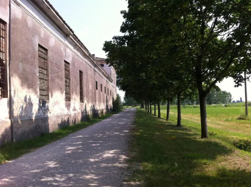 Loft Dell'artista Eclettico, Originale, Unico