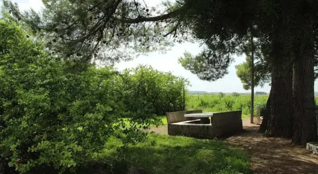 Casa Rural Cal Dalfó