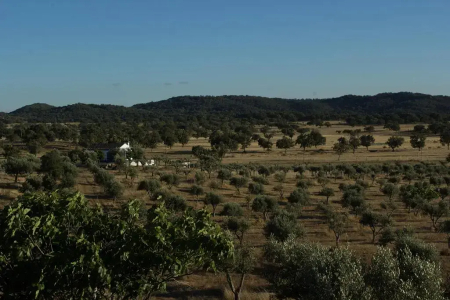 Tapada da Eira e Chanca