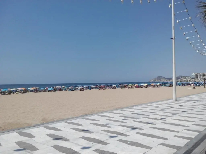 Beach Garden