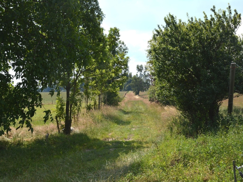 Comfy Farmhouse With Terrace, Garden, Courtyard, Barbecue