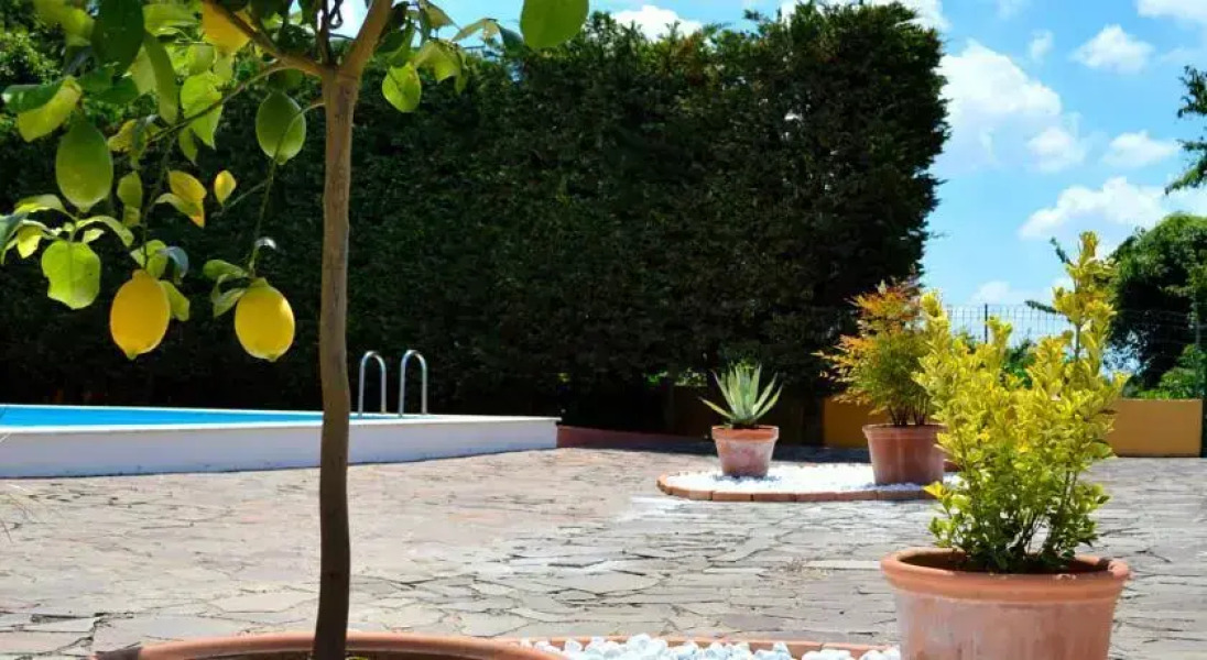 Roman Countryside Apartment Genzano