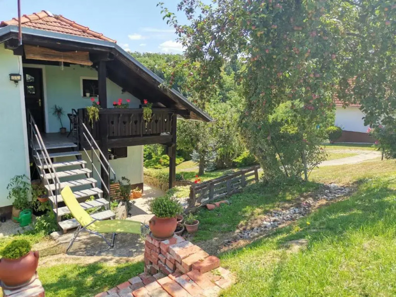 Apartma med vinogradi