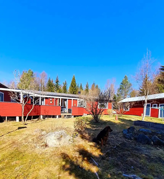 Schnieder's single room 1