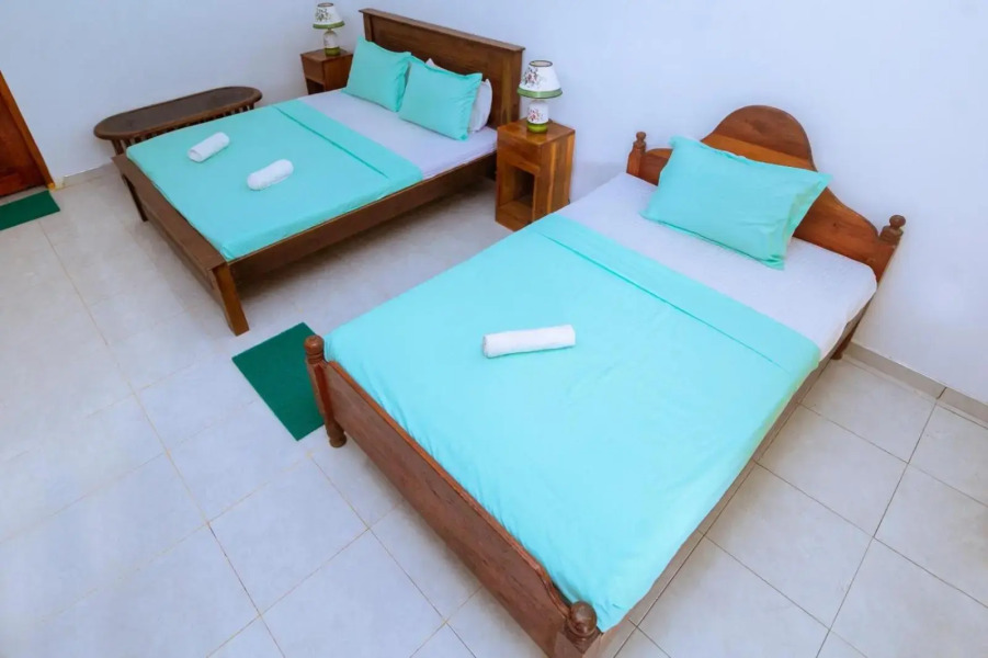 Rainforest River Edge