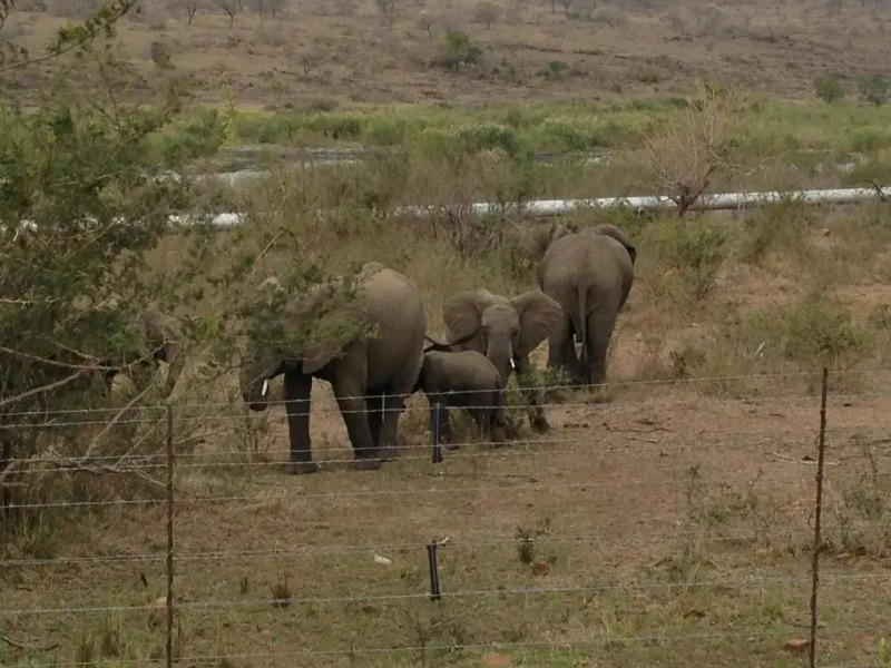 Villa Too Kruger Lodge