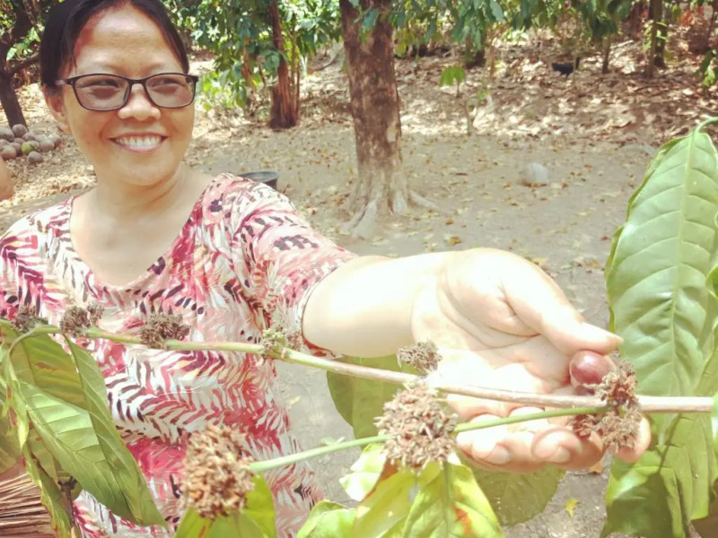 Shibui Garden Bungalows and Restaurant