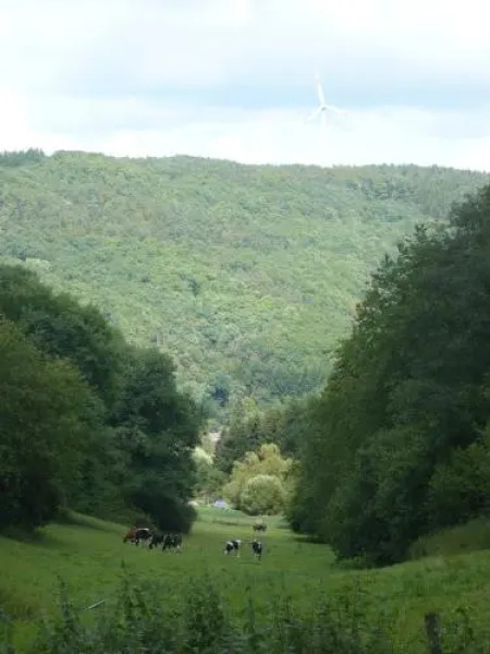 Ferienwohnungen Meindl