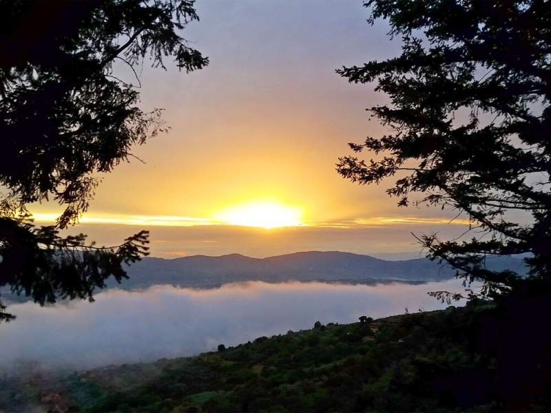 Belvedere Pulicciano