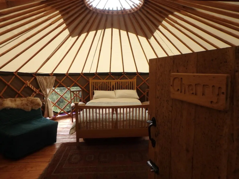 Cherry Yurt - Campsite