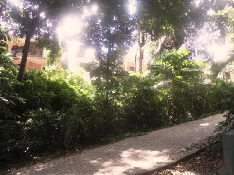 Forest View Homestay