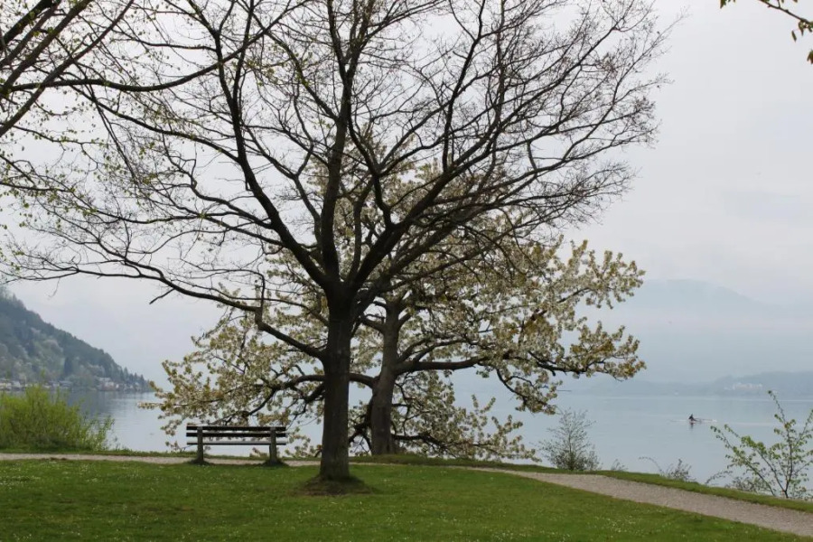 Ferienwohnungen Walk