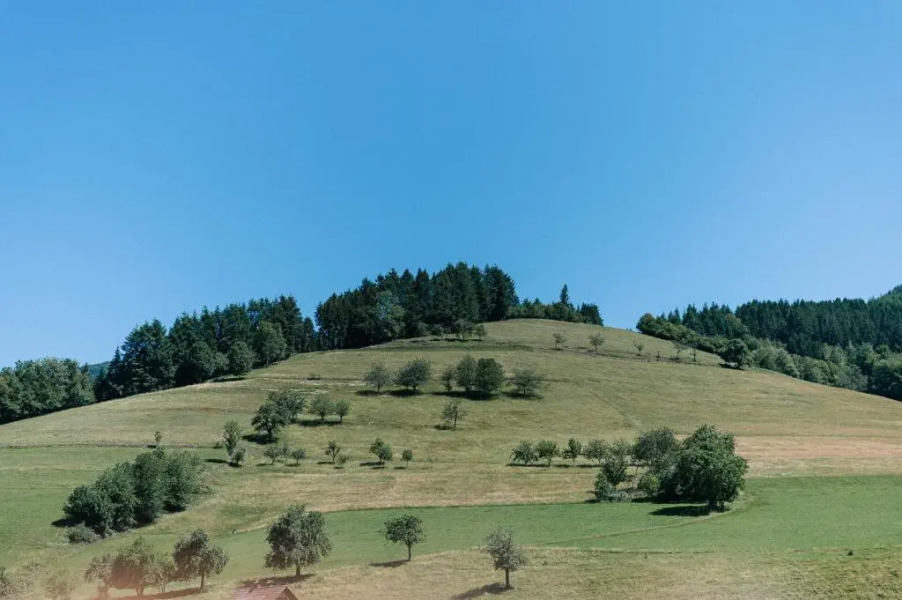 Moderne 3 Zi-FeWo "Vintage Style" 70 qm Nähe Freiburg