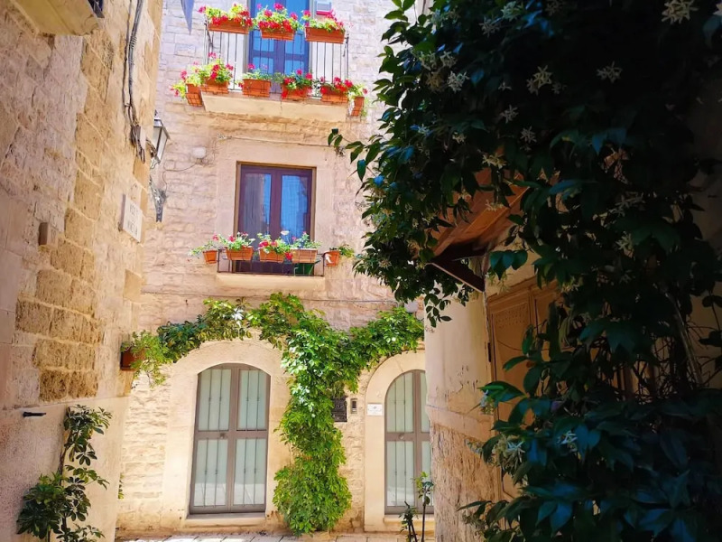 Francis' Guest House