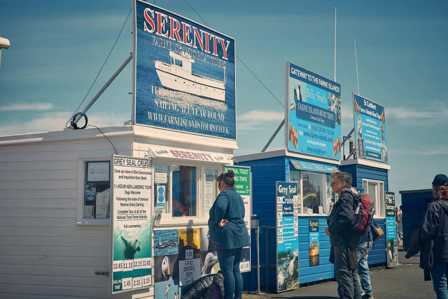 Host Stay Cheviot View