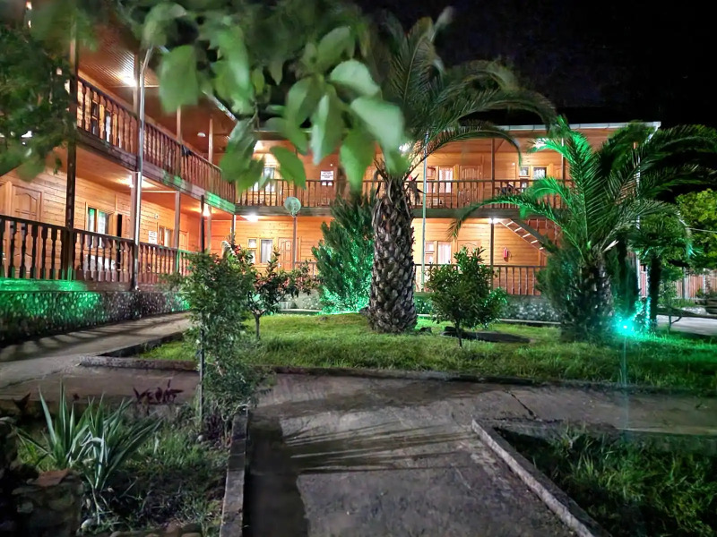 Мандарин Новый Афон