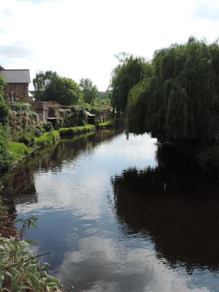 Villa des Hortensias